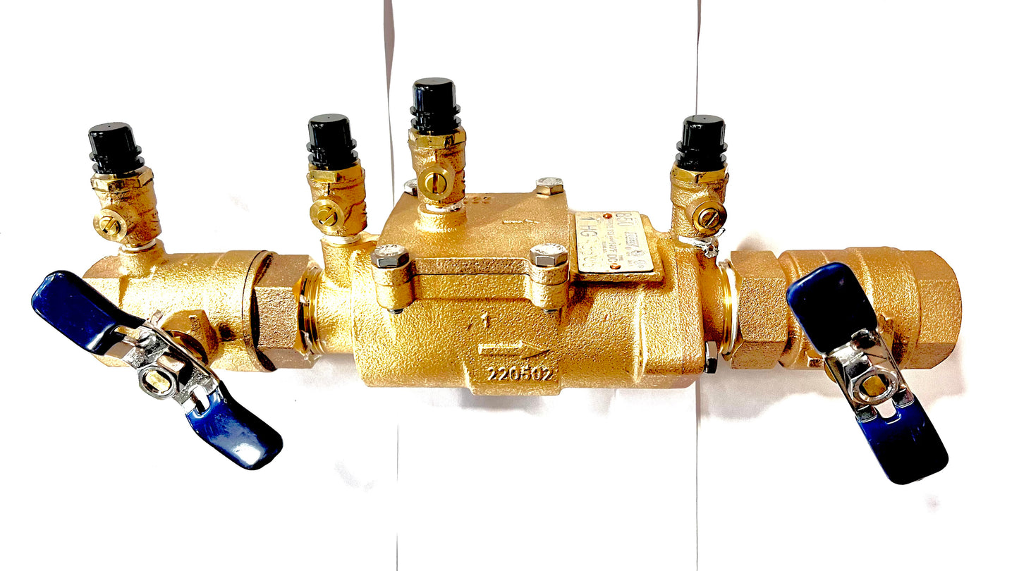 850 1" 683040 Double Check Valve Assembly With Ball Valves